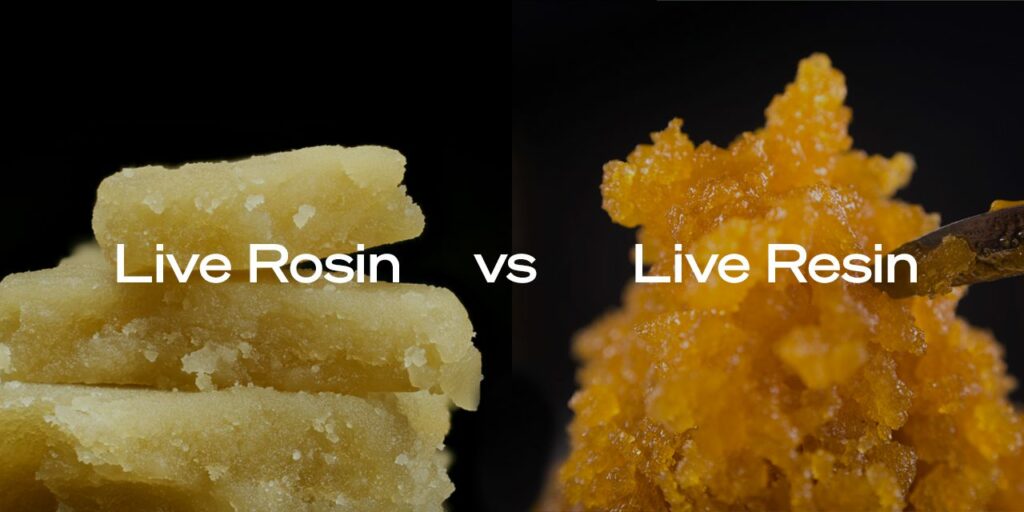 Rosin vs Live Resin