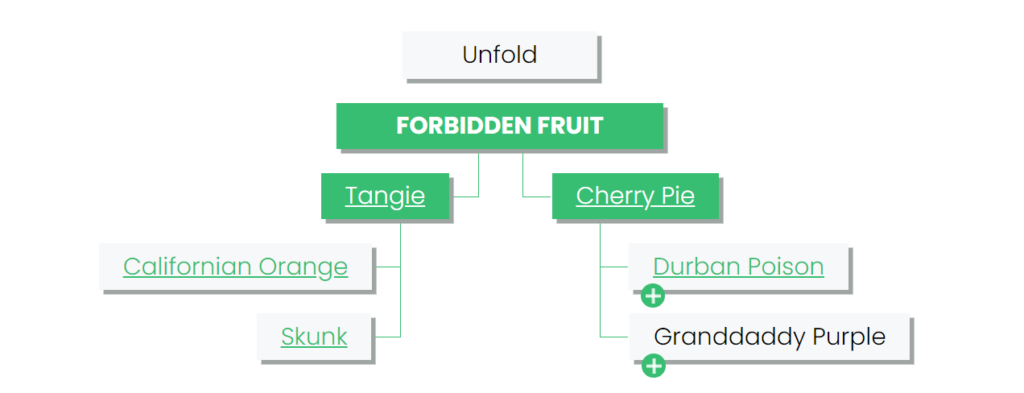 Forbidden Fruit Lineage