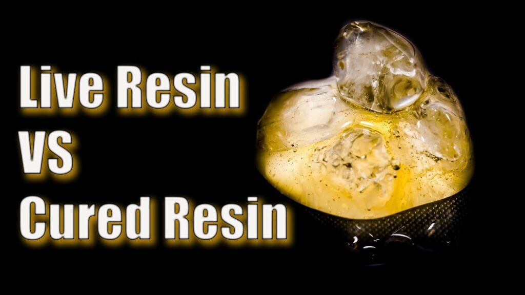 Live Resin vs Cured Resin
