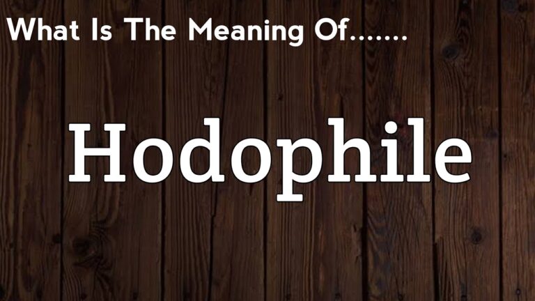 Hodophile meaning