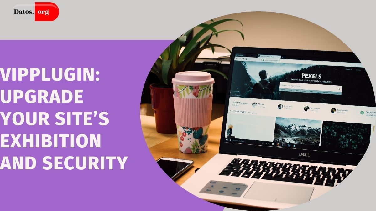 VIPPlugin: Upgrade Your Site’s Exhibition and Security