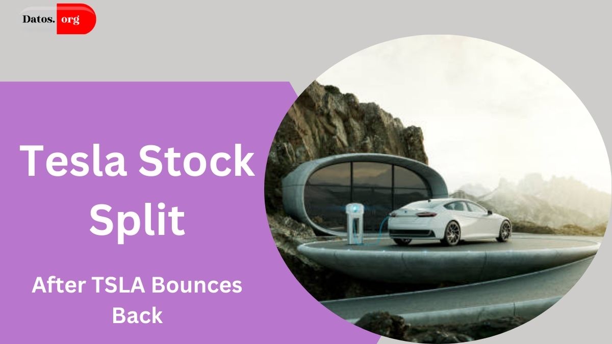 Will Tesla Stock Split in 2024 After TSLA Bounces Back?