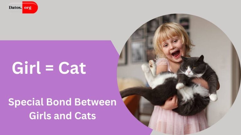 Girl = Cat – The Special Bond Between Girls and Cats