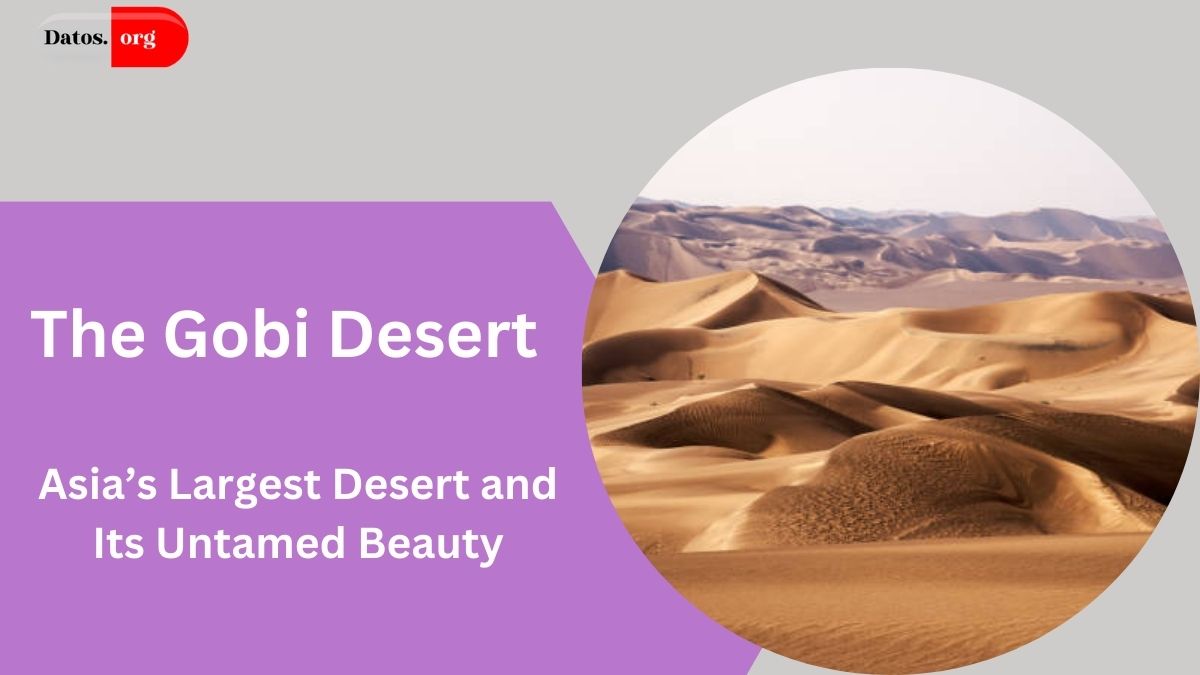 The Gobi Desert: Asia’s Largest Desert and Its Untamed Beauty