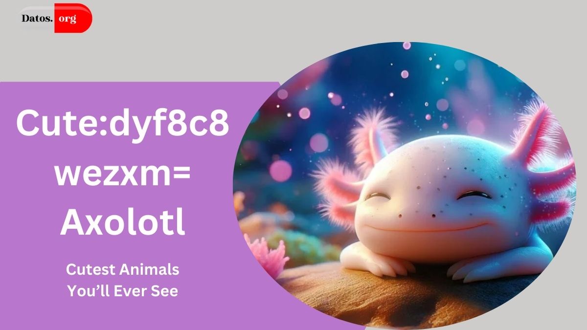 Cute:dyf8c8wezxm= Axolotl