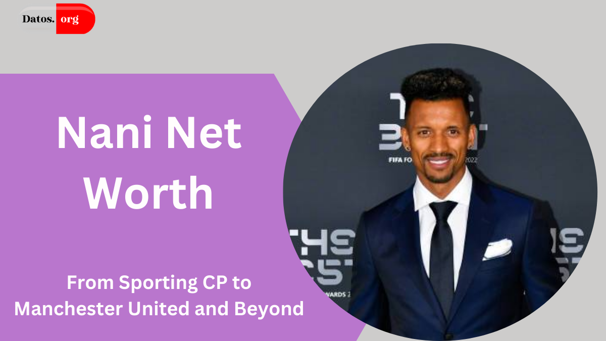 Nani Net Worth