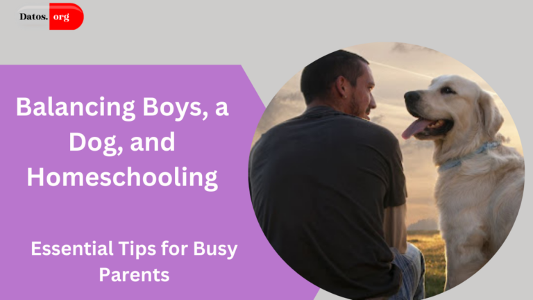 Boys And a Dog Homemaking Homeschooling Tips for Busy Folks