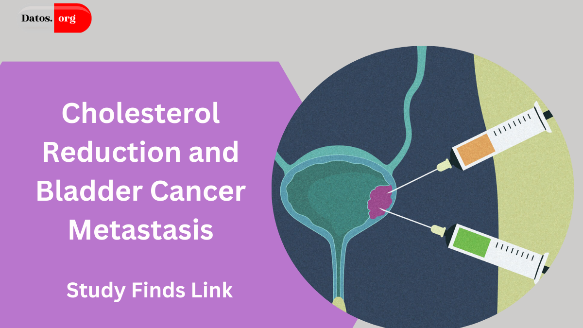 Cholesterol Reduction and Bladder Cancer Metastasis